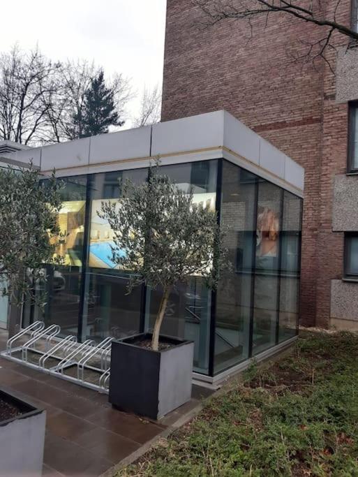 Gemutlich Und Moderne Wohnung In Düsseldorf Extérieur photo